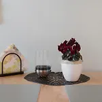 Landliebe Apartment Ötisheim