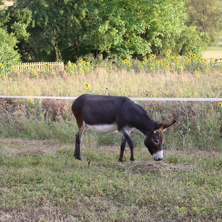 Landliebe דירה Ötisheim